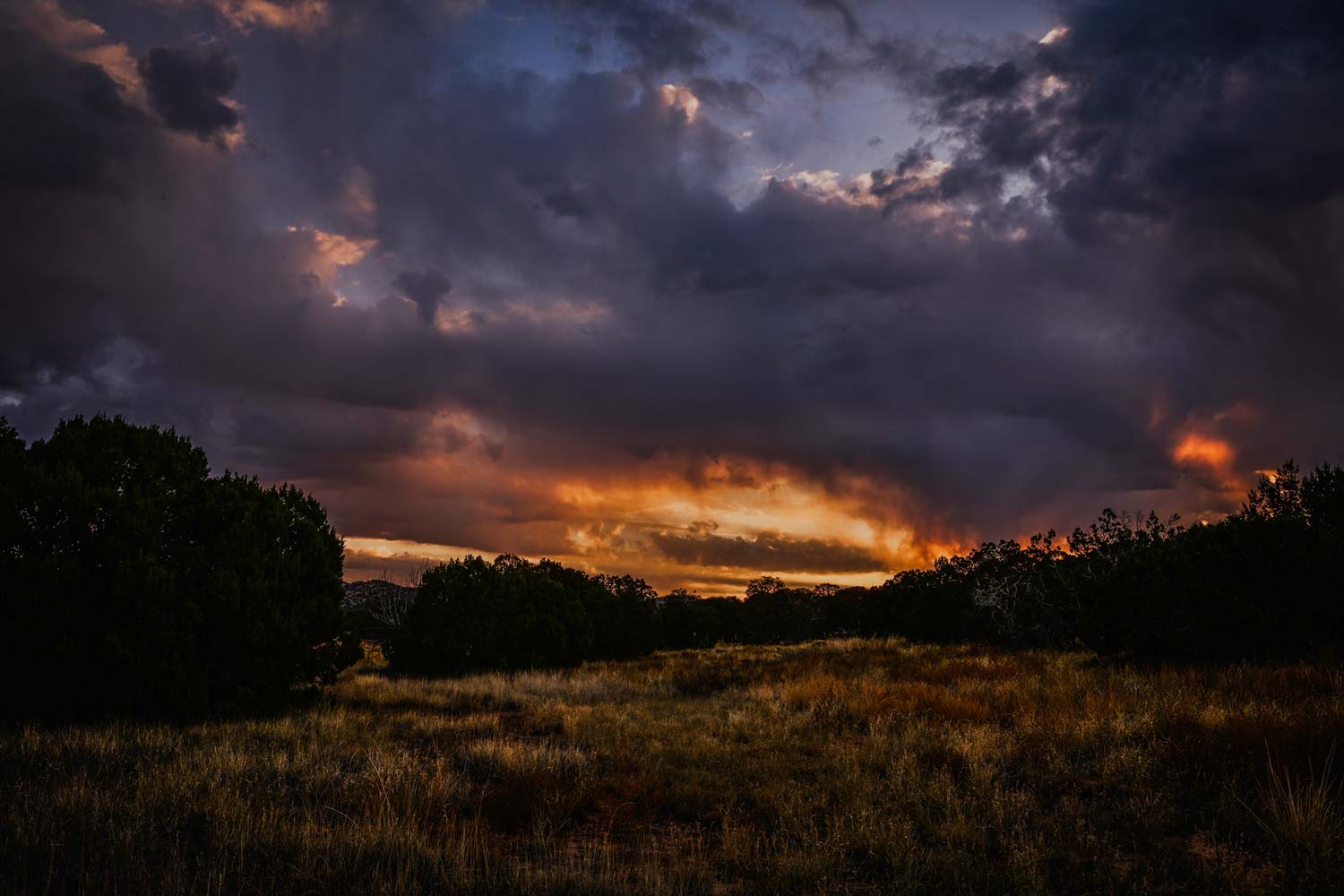 2012 Little Bear Fire