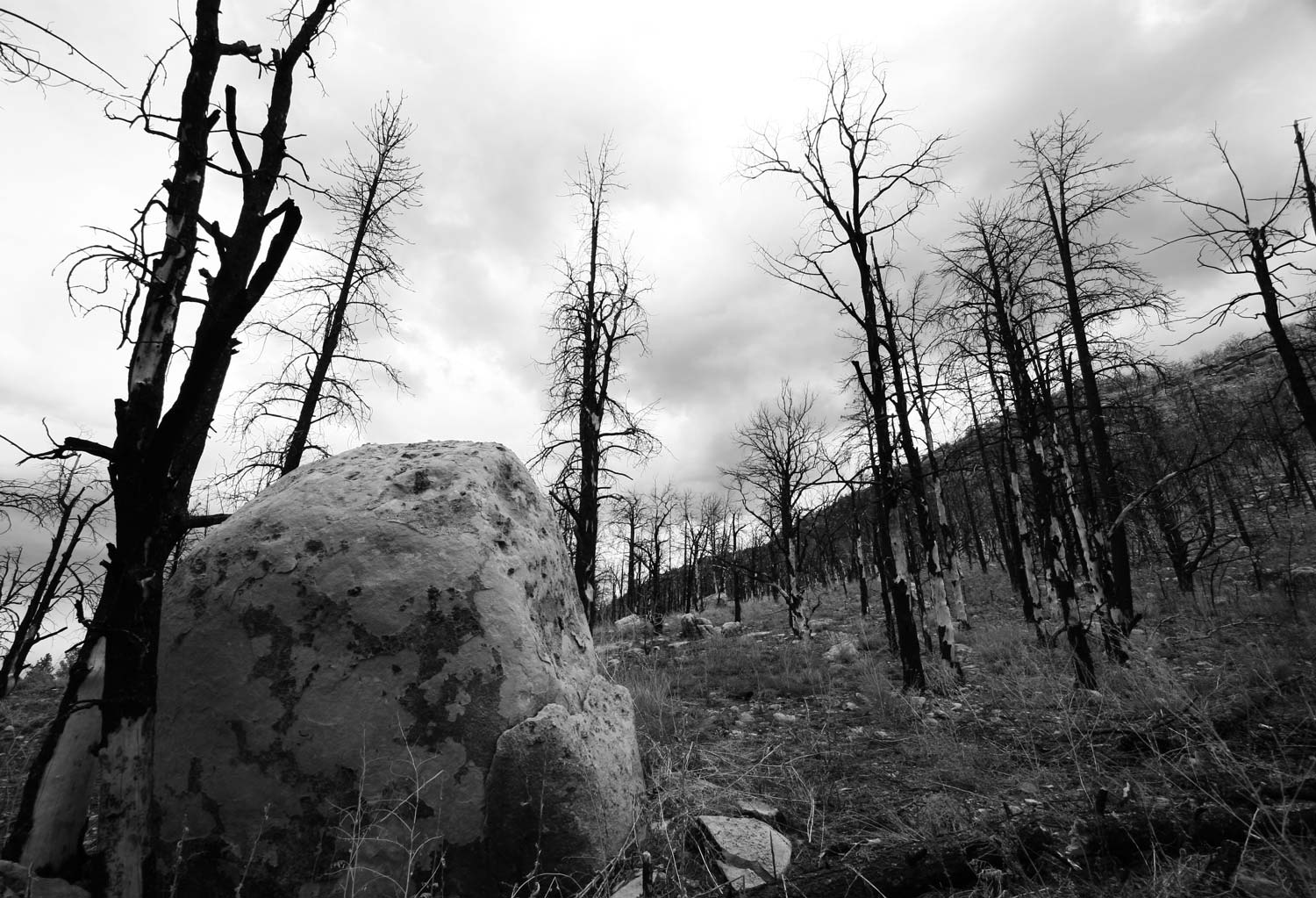 2013 Yarnell Hill Fire